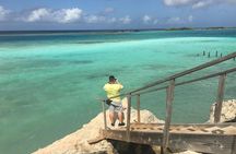 Aruba Island Private Tour: 3 Hours