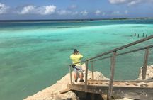 Aruba Full Island Private Tour: 4 Hours