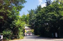 [Rental bus with English or Japanese guide] OK for small groups to 40 people Recommended for family and employee travel Taipei Free Sightseeing