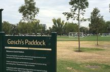 Melbourne Sports Precinct Walk with Behind-the-Scenes MCG Tour