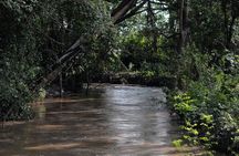 Awash National Park 2days 1night