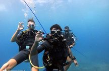 Scuba Diving at Unawatuna