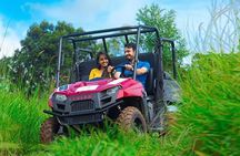 Treehouse stay in munnar