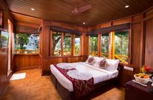 Treehouse stay in munnar