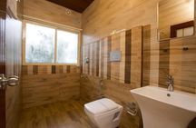 Treehouse stay in munnar