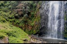 1 Day Tour to Materuni Waterfalls and Coffee Tour