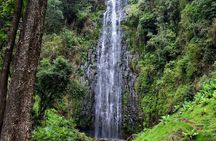 1 Day Tour to Materuni Waterfalls and Coffee Tour