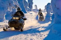 Lapland Family Snowmobile Safari from Levi