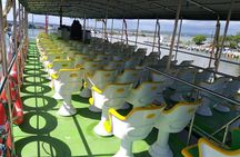 Whales & Dolphin Watching Day Tour including Handunugoda Teafactory 