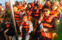 Whales & Dolphin Watching Day Tour including Handunugoda Teafactory 