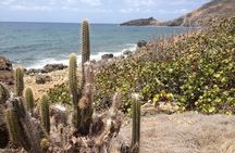 Guana Bay Coastal Hike