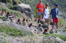 Guana Bay Coastal Hike