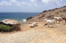 Guana Bay Coastal Hike