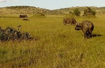 3 Days Amboseli National Park