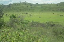 Day Tour Safari Arusha National Park