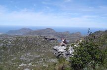 Hike off the beaten track on Table Mountain