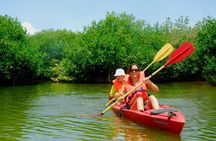 Kayak Lagoon Tour