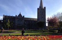 Private Driver Guided Tour of Dublin