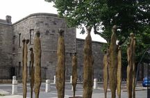 Private Driver Guided Tour of Dublin