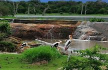 Yala Safari Private Day Tour Kaluthara/Beruwala/Bentota/Kosgoda/Ahungalla