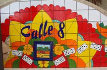 Little Havana Street Food Tour with Enthusiastic Guide