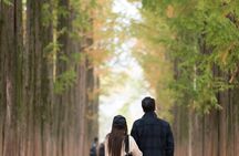 Private Nami Island Photo Shoot and Tour with a Photographer