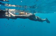 Discover Freediving course