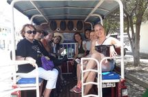 Mazatlan routes of taste food tour