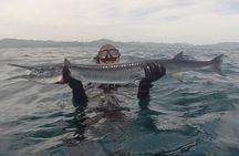 Discover Spearfishing course