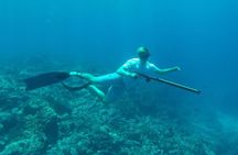 Discover Spearfishing course