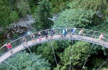 Vancouver, Capilano Suspension & Grouse Mountain Private Tour 