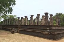 8 days 7 nights Srilanka Private Tour by Car for 2