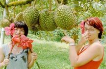 JEEP JUNGLE SAFARI Around Koh Samui(Eco Friendly)including Lunch