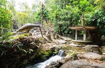 JEEP JUNGLE SAFARI Around Koh Samui(Eco Friendly)including Lunch