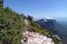 An exciting scramble on Table Mountain