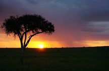 5 DAYS mt. Kenya climb