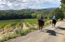 Horseback Ride in S.Gimignano with Tuscan Lunch Chianti Tasting