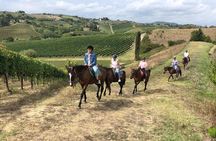 Horseback Ride in S.Gimignano with Tuscan Lunch Chianti Tasting