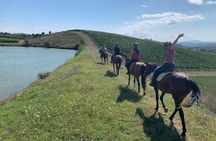 Horseback Ride in S.Gimignano with Tuscan Lunch Chianti Tasting