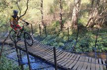 Private Mountain Biking Tour from Cape Town
