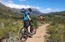 Private Mountain Biking Tour from Cape Town