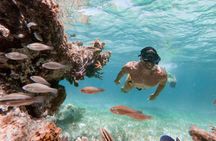Marinarium Snorkeling Cruise from Punta Cana