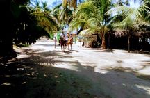 Afro-Mex Village Experience -Horseback Ride -Turtle Hatch & Crocs