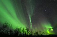 Enjoy the Aurora show on top of the mountain inc tipi dinner 