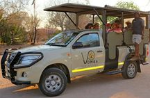 Full Day Kruger Park Safari From Hazyview