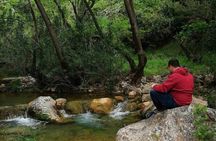 Off road experience jeep adventure at the Athenian mountains 
