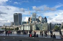 Private Tour: Highlights Tour of London - Walking or Car Tour