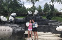 Chengdu Wolong Panda Base Volunteer Experience Trip