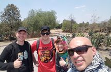 Teotihuacan Private Tour from Mexico City
