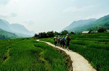 Mountain views & Rice Terraced Fields Hiking – 2D 1N
